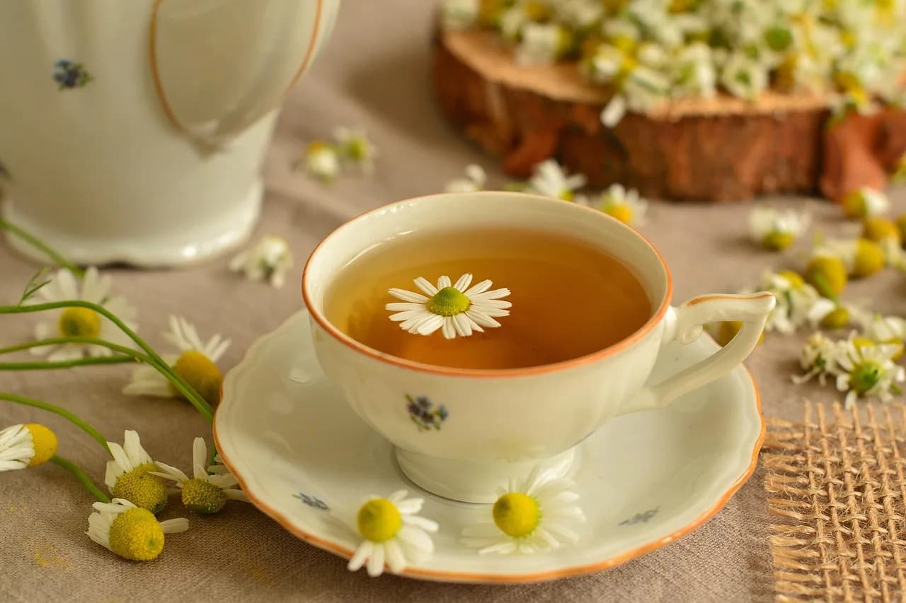 A porcelain cup of herbal tea with a chamomile flower floating on top and loose chamomile blossoms around the saucer